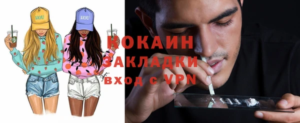 apvp Бородино