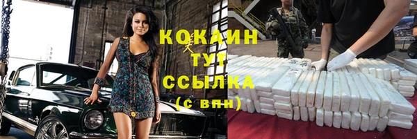 apvp Бородино