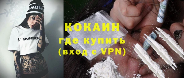 apvp Бородино